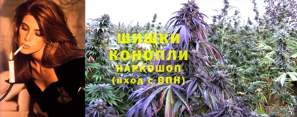 мдпв Магас