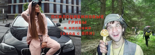 эйфоретик Магадан