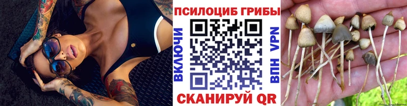 KRAKEN ONION  продажа наркотиков  Холм  Галлюциногенные грибы мухоморы 